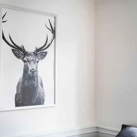 165m2 Luxury Flat In Center Köpenhamn