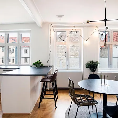 Lägenhet 165m2 Luxury Flat In Center Köpenhamn